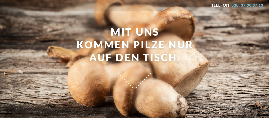 Schimmelbefall Schimmelbekämpfung Schimmelentfernung Schimmelbefall Schimmelbekämpfung Schimmelentfernung